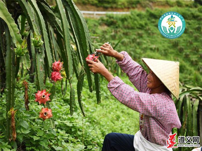 http://www.qguiyang.com/v/b/images/2020/7/10/20207101594353433855_402.png