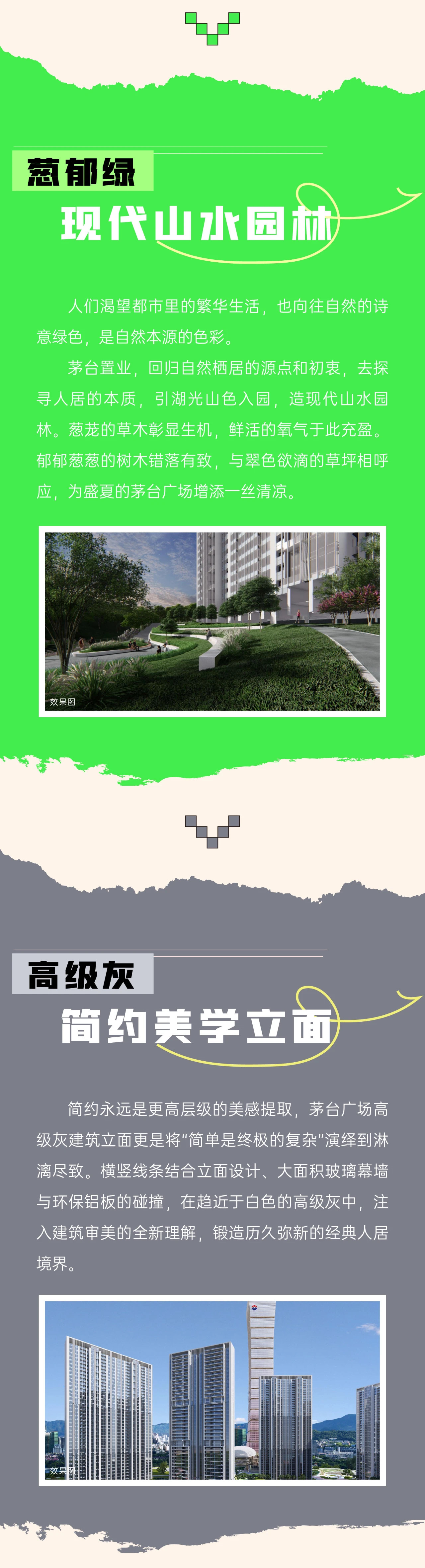 3.jpeg